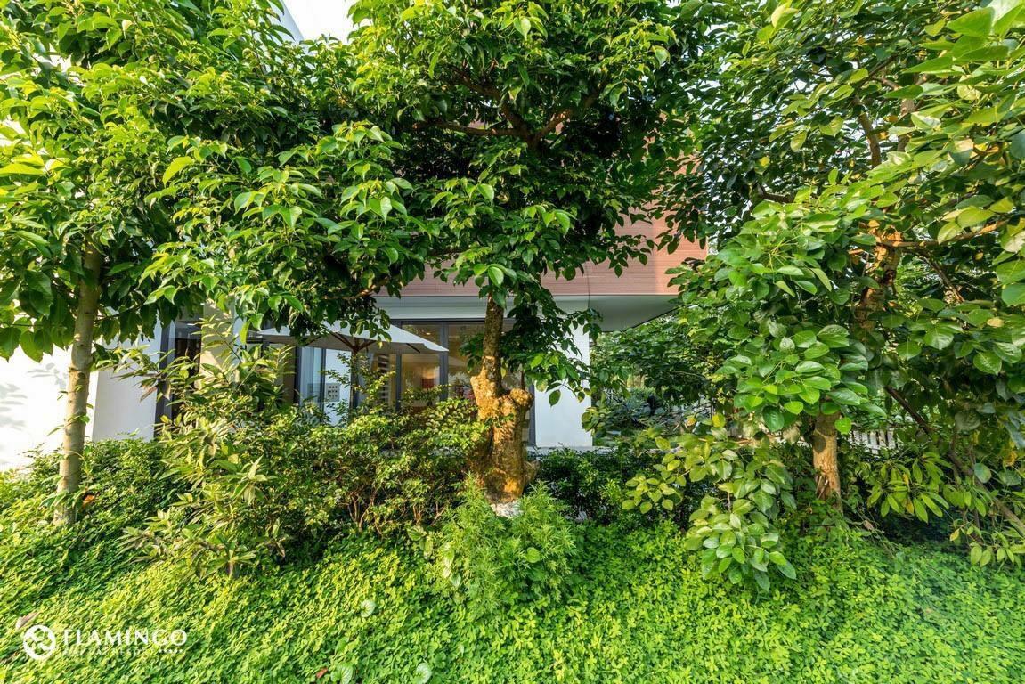 Flamingo Dailai - Hq Villa Ngoc Quang المظهر الخارجي الصورة
