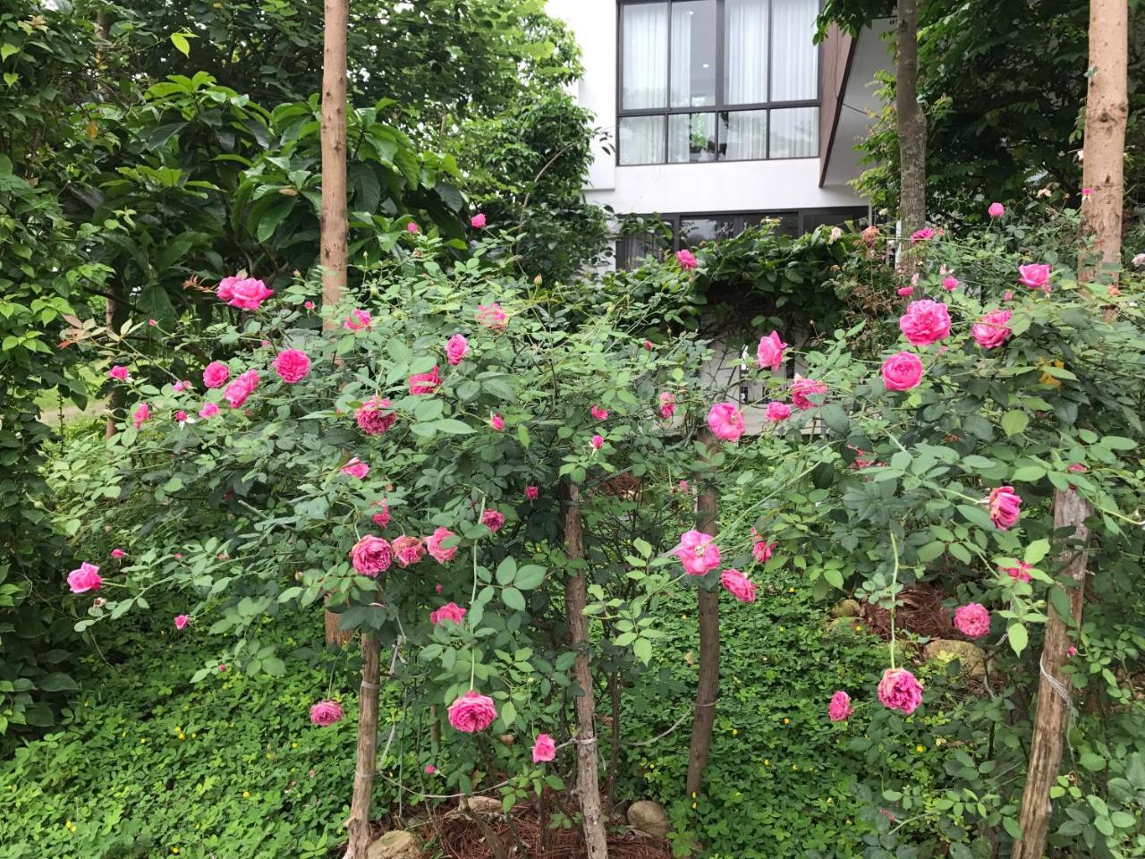 Flamingo Dailai - Hq Villa Ngoc Quang المظهر الخارجي الصورة
